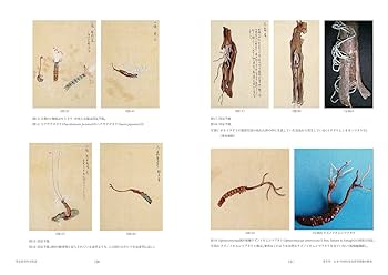 【中古】 冬虫夏草の科学/新風舎/原彰 中古】 冬虫夏草の科学/新風舎/原彰 中古】 冬虫夏草の科学 / 原